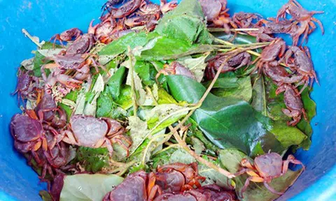 Vị quê