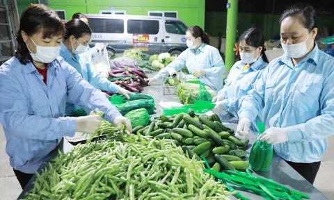 Thúc đẩy tiêu thụ nông sản trong bối cảnh dịch Covid-19: Đổi mới phương thức, mở rộng thị trường