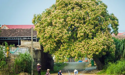 Bâng khuâng Lệ Thủy