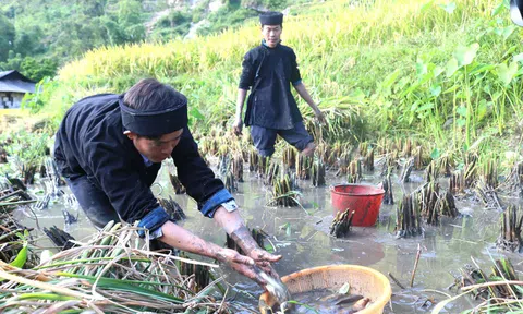 Hà Giang: Sản xuất nông nghiệp và tín ngưỡng của người La Chí