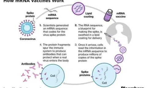 Nhân loại biết ơn người phụ nữ gốc Hungarie này - Người phát minh ra Vaccine Covid-19