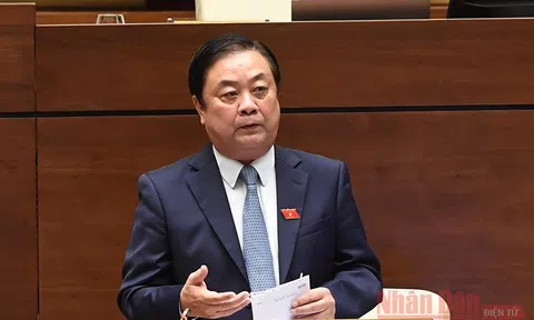Nền nông nghiệp phải bước qua "lời nguyền": manh mún, nhỏ lẻ, tự phát