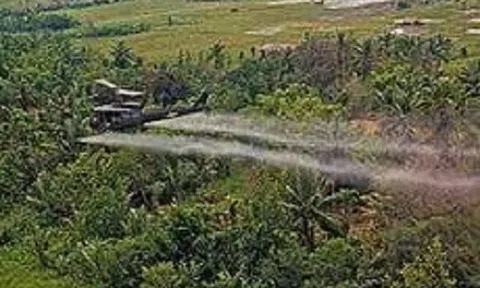 Nỗi đau da cam vẫn còn đó