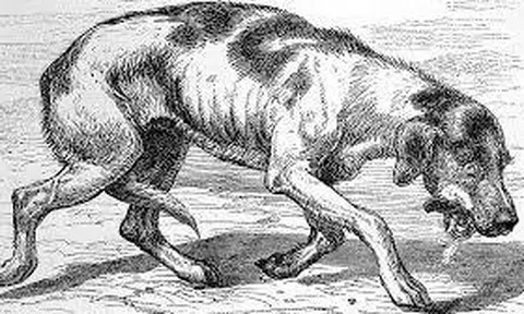 Điều kỳ diệu của cuộc sống