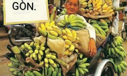 Đất Sài Gòn