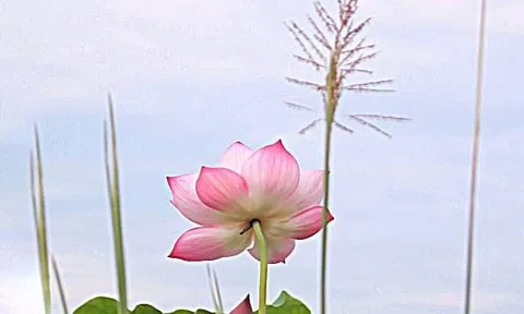  Hành trình tìm lại Anh ( tiếp theo)