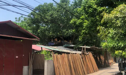 Vĩnh Phúc: Yên Lạc sẽ xử lý nghiêm các trường hợp lấn, chiếm đất vi phạm trật tự xây dựng