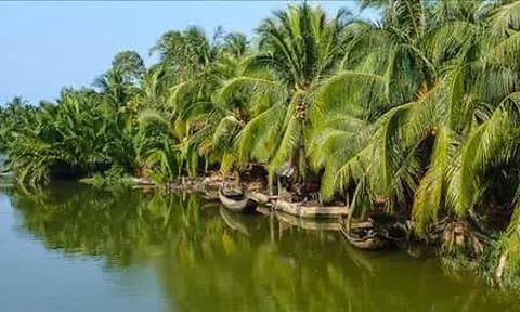 Về “Bài ca đất phương Nam” của Lư Nhất Vũ