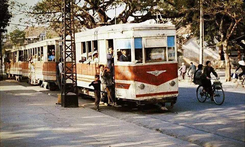Dã ngoại