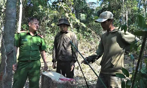 Liên tiếp xảy ra các vụ “lâm tặc” táo tợn cướp tang vật