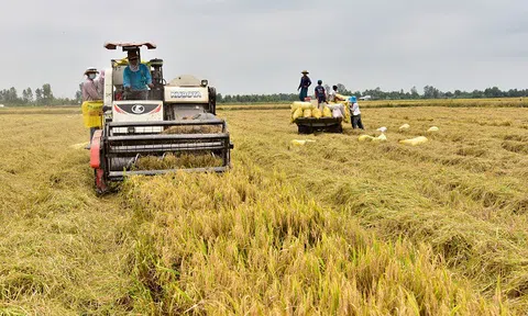 Kiên Giang: Tạo thuận lợi trong lưu thông, tiêu thụ sản phẩm nông nghiệp