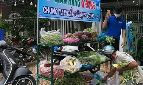 Tuổi trẻ Kiên Giang nỗ lực an sinh xã hội