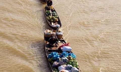 Cho cột nhờ một khúc đi nghen..