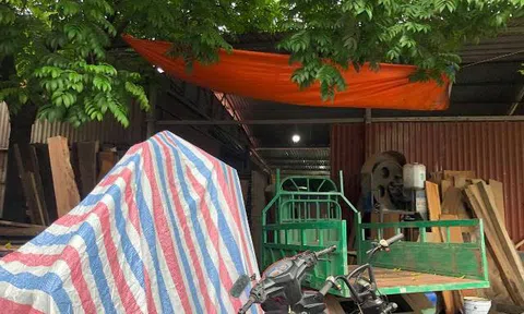 Vĩnh Phúc: Sở  Tài nguyên và Môi trường thành lập đoàn kiểm tra vi phạm lấn, chiếm đất công, vi phạm trật tự xây dựng