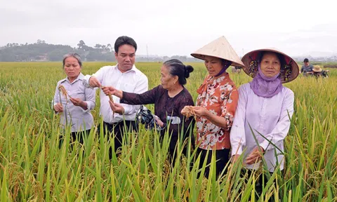 Vĩnh Phúc: Xây dựng nền nông nghiệp toàn diện theo hướng hiện đại ở Lập Thạch