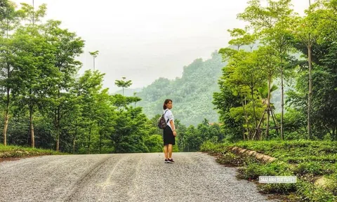 Hồng nhan... Không bạc phận