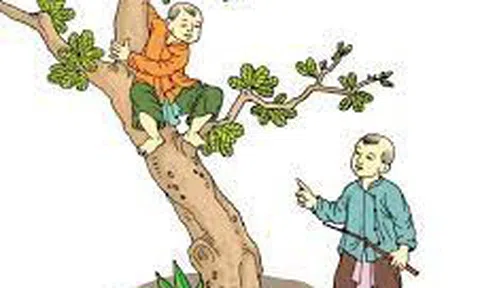 Khảo cây ngày tết Đoan ngọ- một hiện tượng kỳ lạ trong dân gian