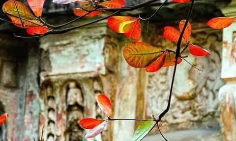 Em có nghe, thu về...