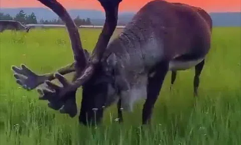 Đôi lời nhắn bạn