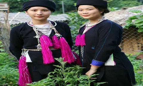 Lào Cai: Bảo tồn nghệ thuật trang trí trên trang phục của người Dao họ