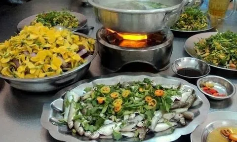 Cá linh, cá của hồn quê...