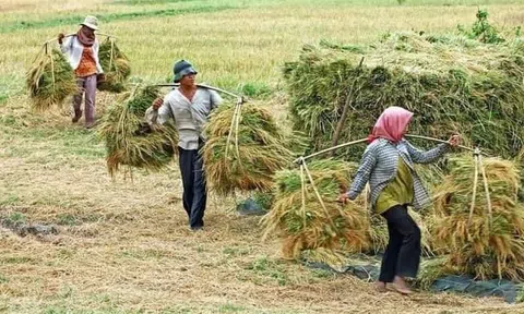 Tản mạn về làng xưa