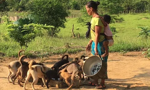 Người mẹ ma coong