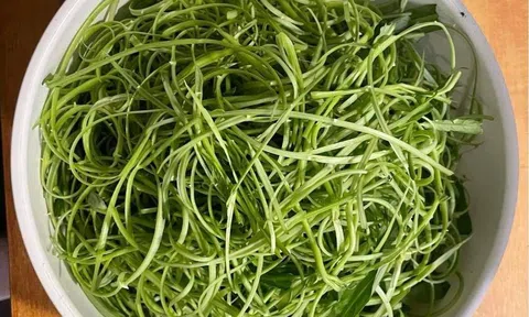 Rau muống chẻ