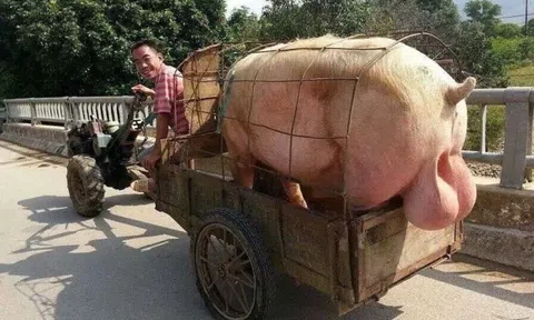 Chuyện thằng Tèo