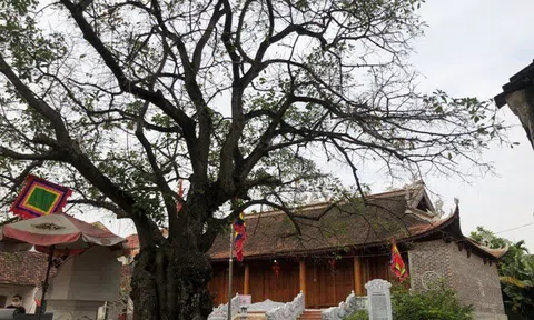 Những đặc trưng của nền văn hóa Việt Nam