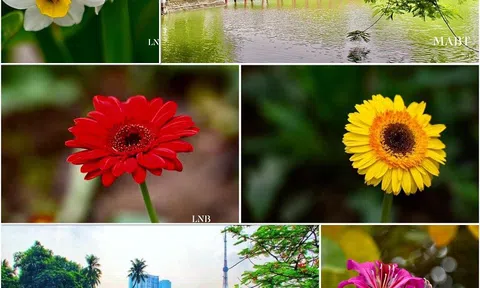 Người Hà Nội đi chữa bệnh