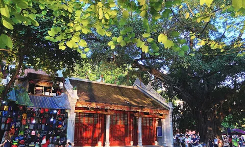 Hà Nội phố, Hà Nội cây