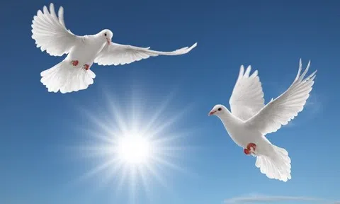 Một chuyện tình