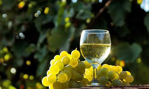 Rượu ở Việt Nam có từ khi nào?