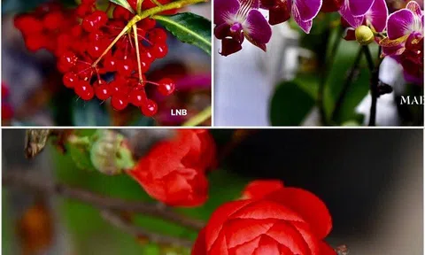 Bài học về sự lễ phép