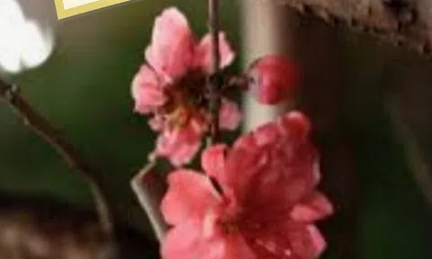 Khi người lớn dỗi hờn