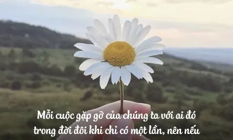  Nghe lời thầy phán
