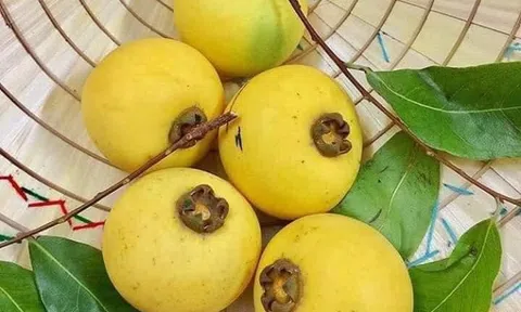 Tiết thu Hà Nội!