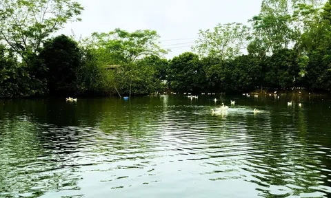 Chuyện kể tâm linh