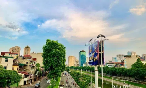 Canh rau muống nấu hành răm