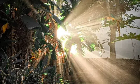 Chùng chiềng sợi nắng vương mây