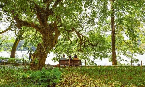 Chuyện cũ mà không cũ