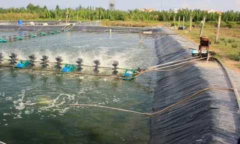 Thăm lại nhà anh cháu Tam