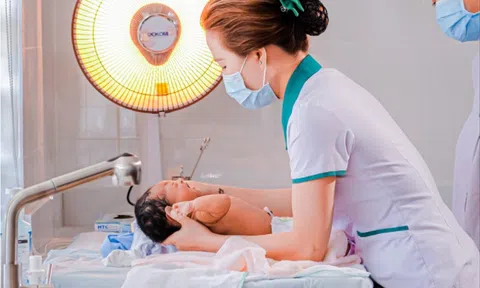 Những đóa hoa kiên cường