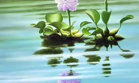 Dịu