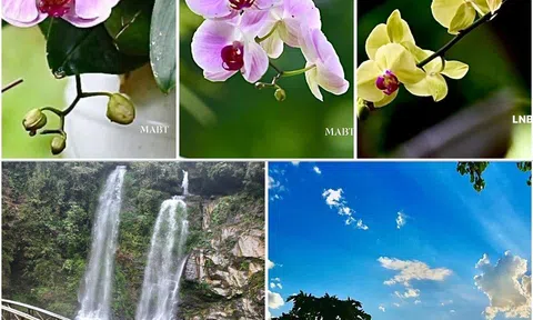 Bánh nếp làng Giàn