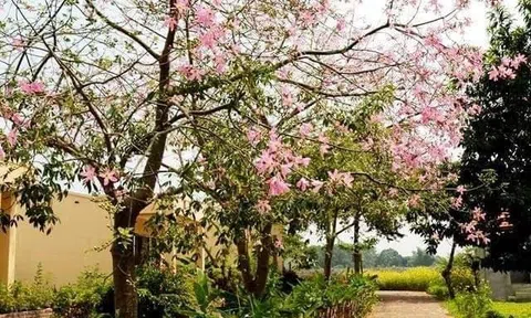 Một thời để nhớ