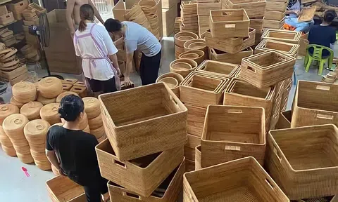 Phát triển kinh tế bằng mô hình mây tre đan
