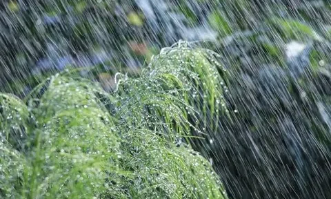 Bất chợt nhớ lại ngày mưa