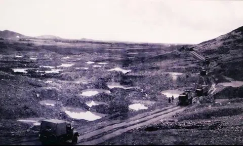 Một lần ăn thịt gà